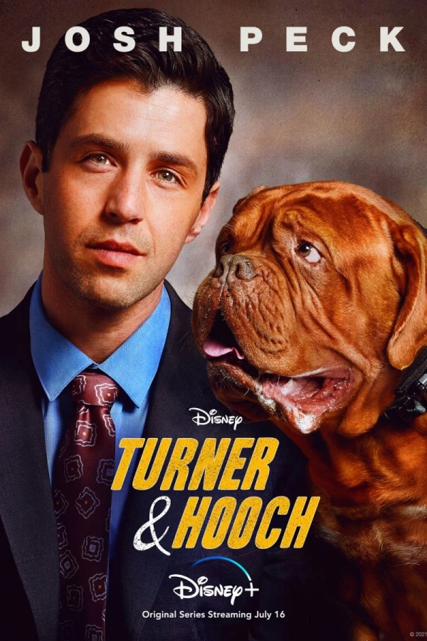 Turner Hooch Juliste