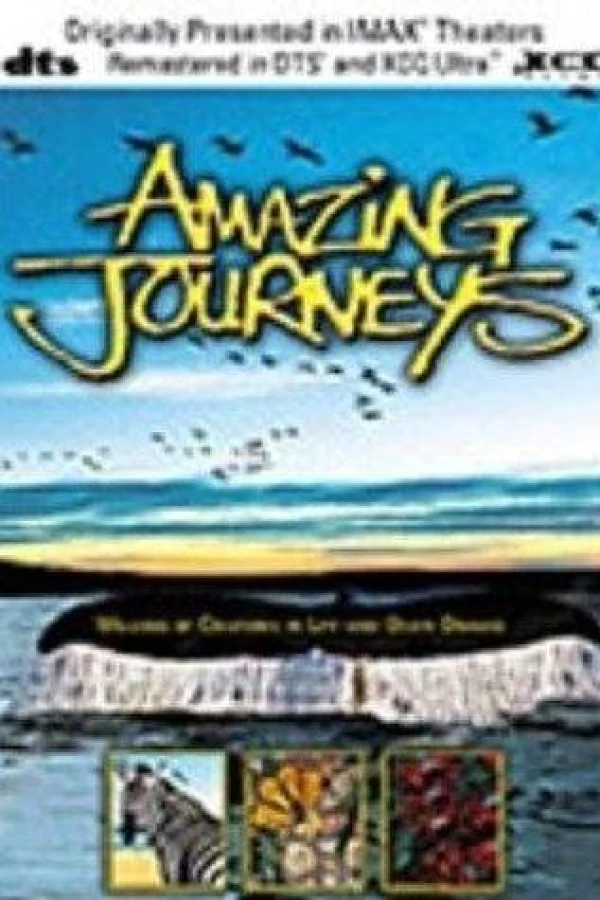 Amazing Journeys Juliste