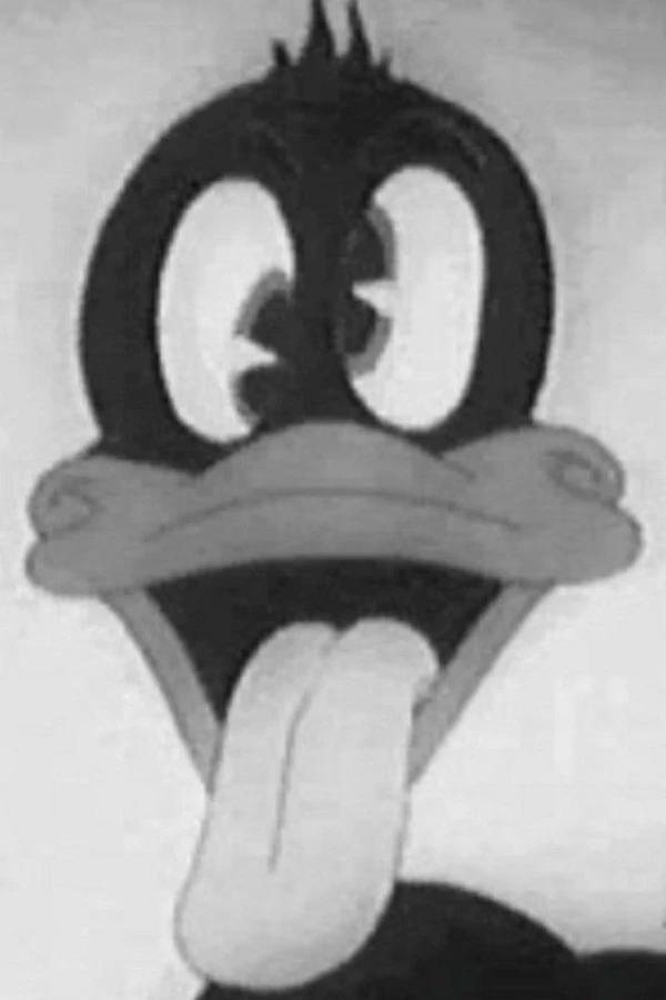 A Coy Decoy Juliste
