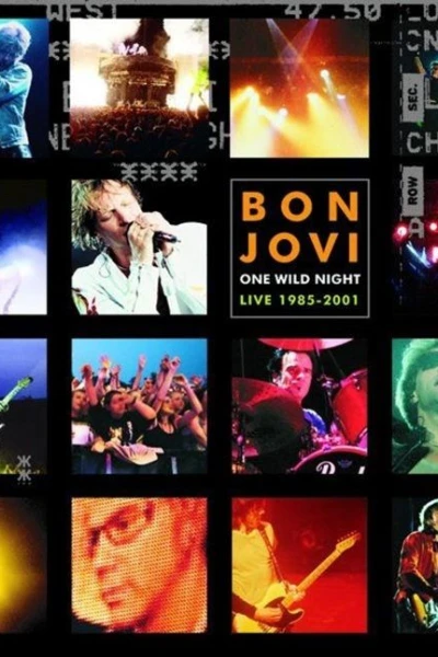 Bon Jovi: One Last Wild Night