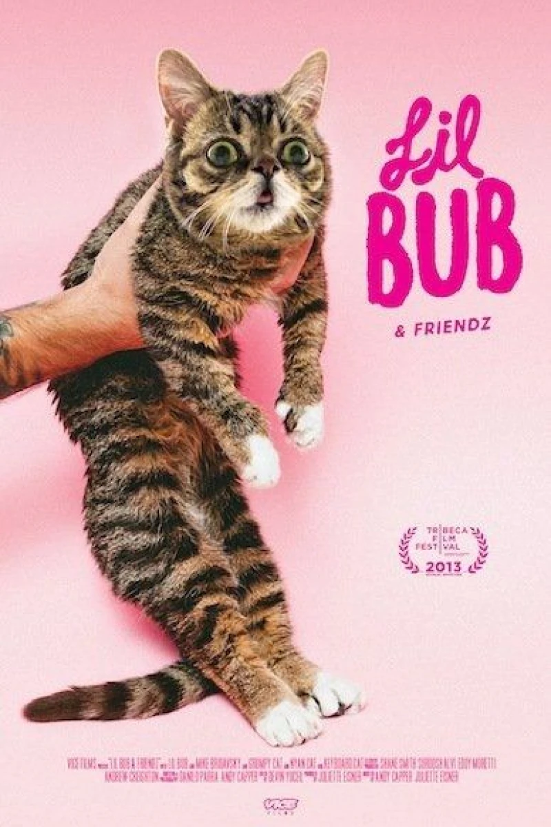 Lil Bub Friendz Juliste