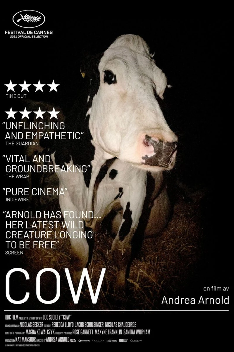 Cow Juliste