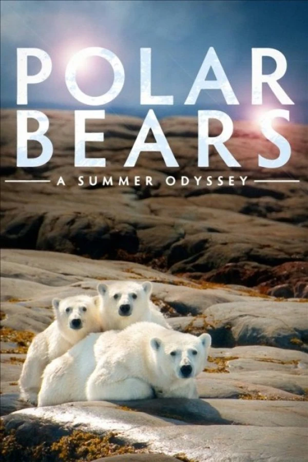 Polar Bears: A Summer Odyssey Juliste