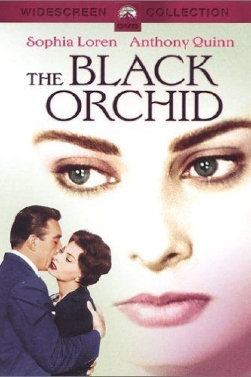 The Black Orchid Juliste