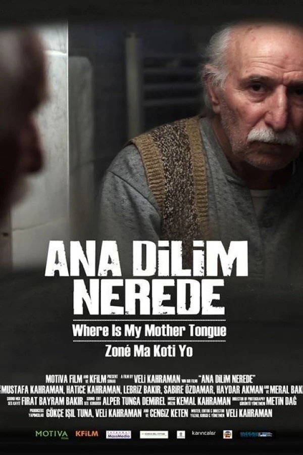 Ana dilim nerede Juliste