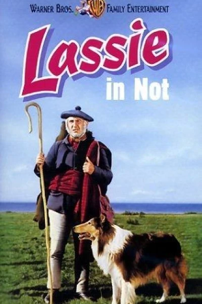 Challenge to Lassie