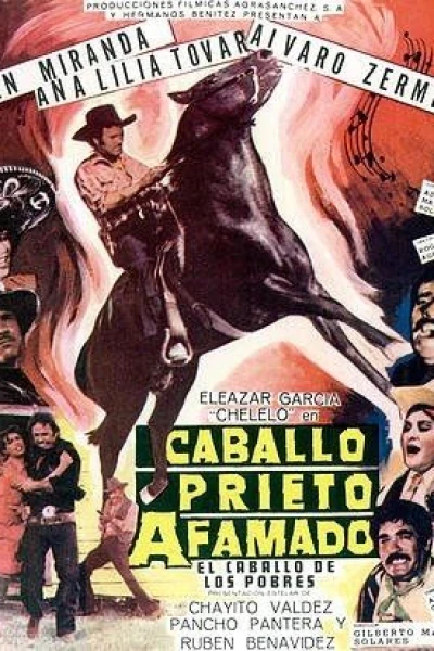 Caballo prieto afamado