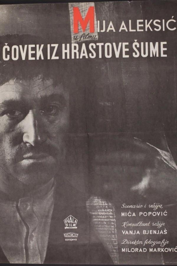 Covek iz hrastove sume Juliste