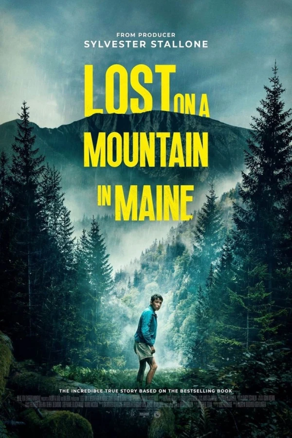 Lost on A Mountain in Maine Juliste