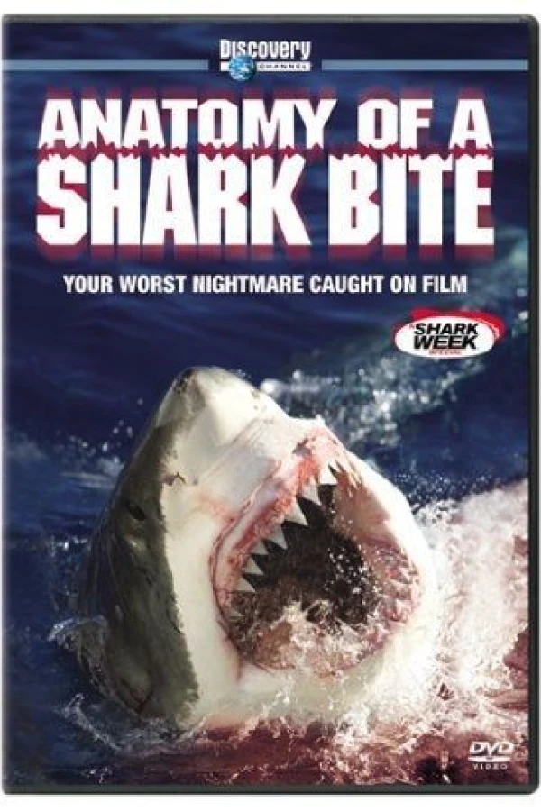 Anatomy of a Shark Bite Juliste