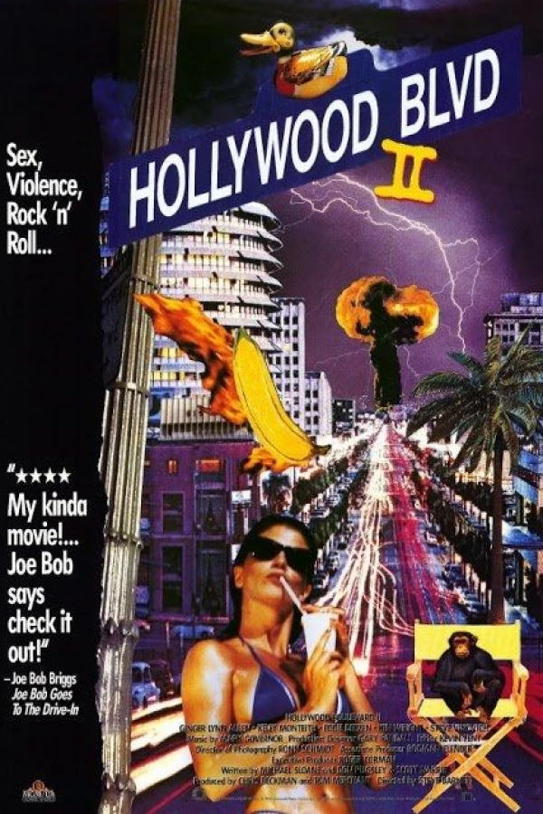 Hollywood Boulevard II Juliste