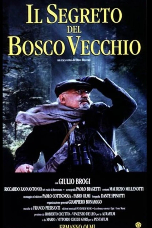 Il segreto del bosco vecchio Juliste