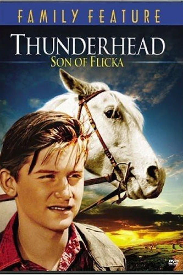 Thunderhead - Son of Flicka Juliste