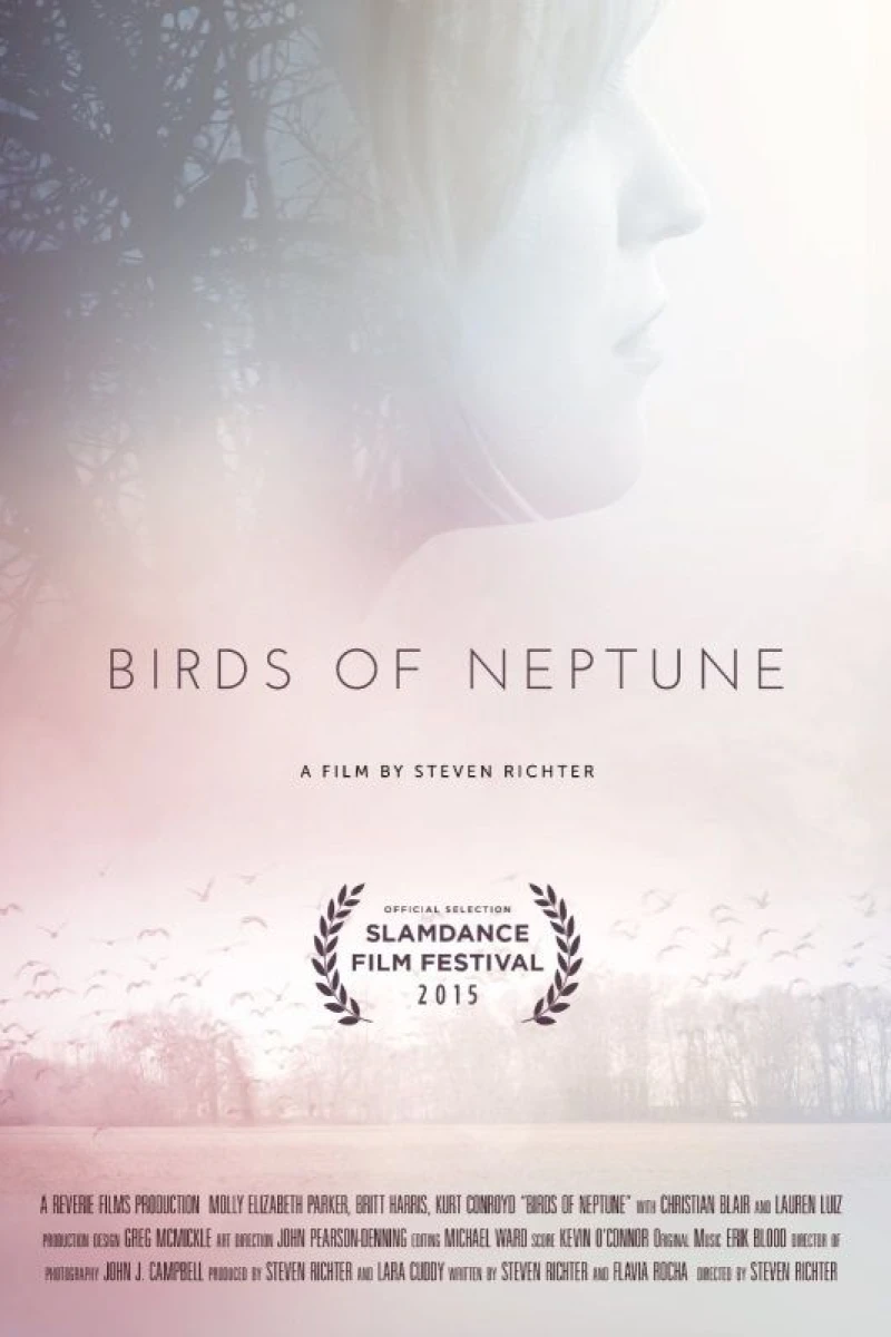 Birds of Neptune Juliste