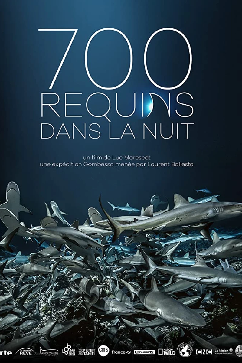 700 Sharks Juliste