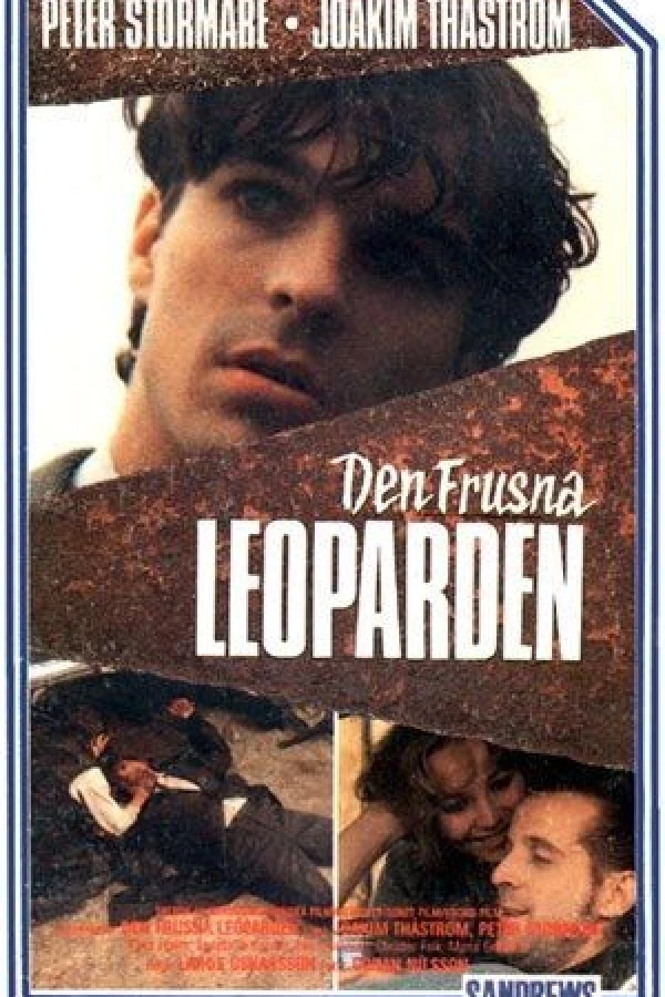 Den frusna leoparden Juliste