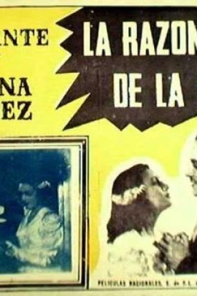 La razón de la culpa