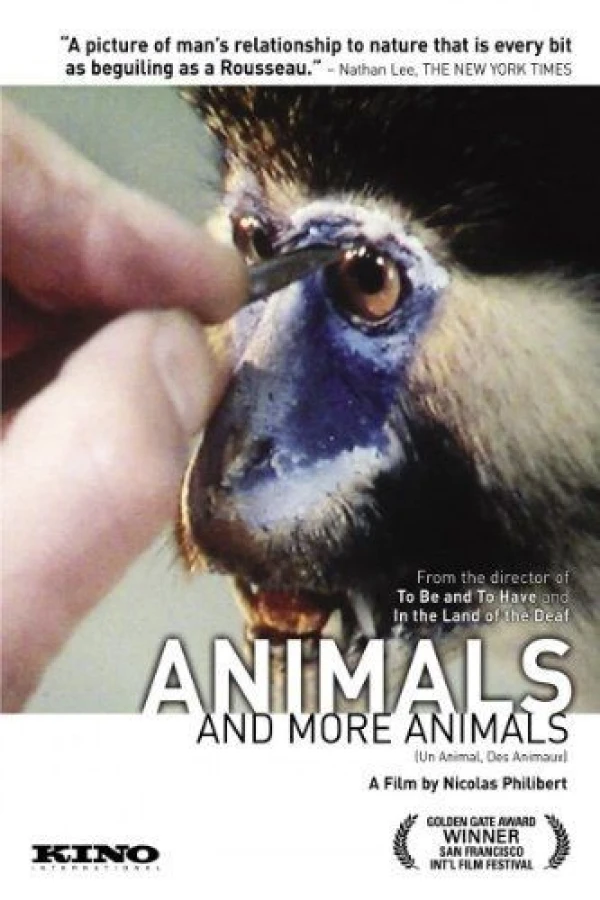 Animals and More Animals Juliste