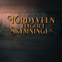 Tordyveln flyger i skymningen