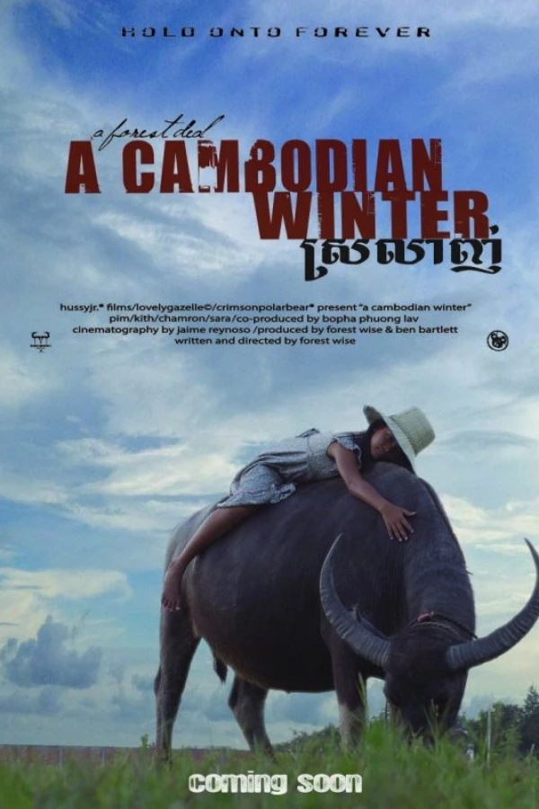 A Cambodian Winter Juliste