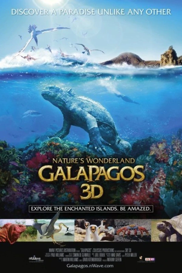 Galapagos 3D Juliste