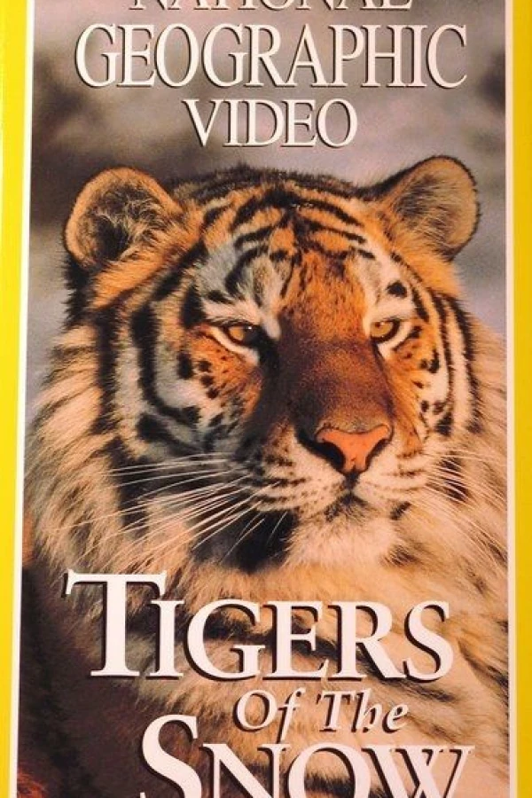 Tigers of the Snow Juliste