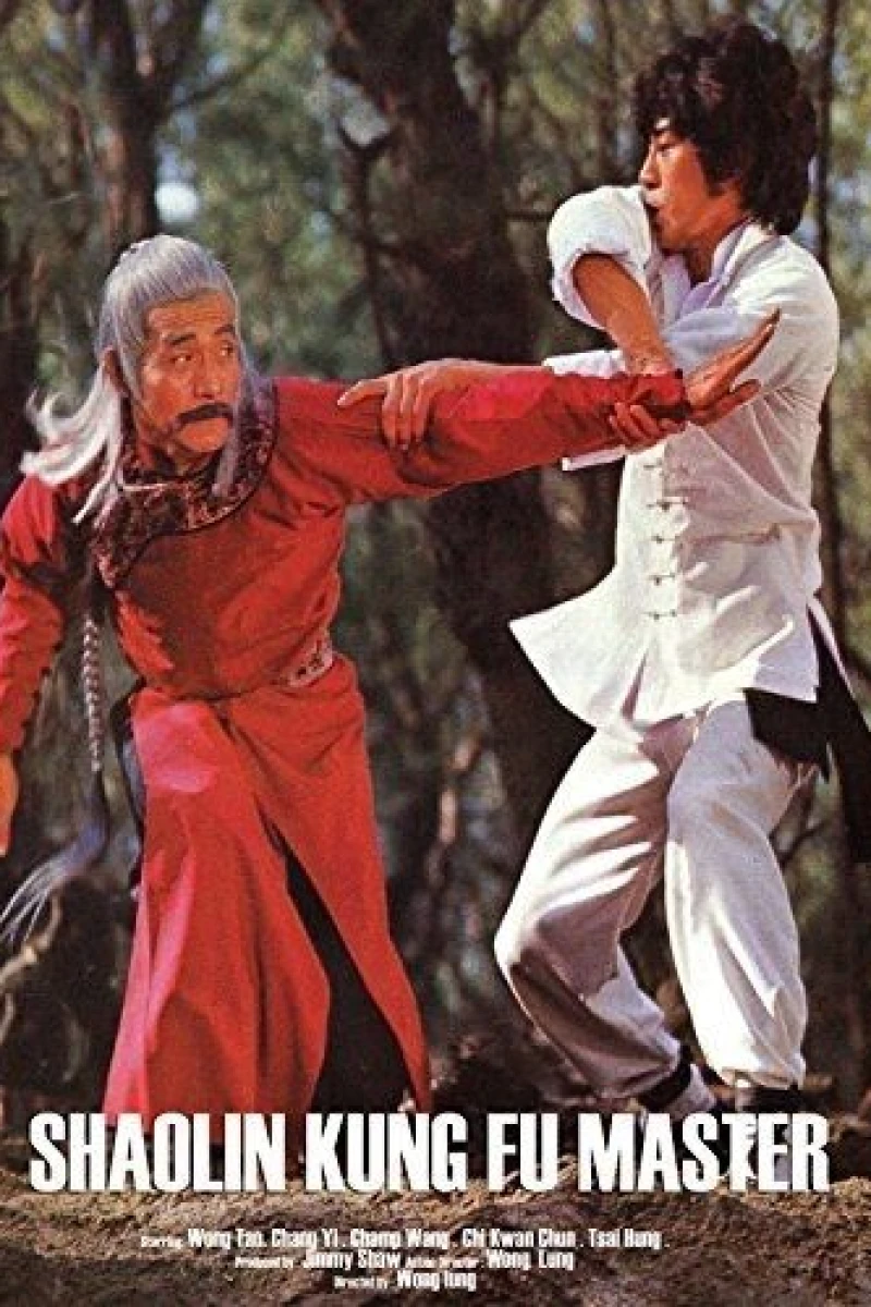 Shaolin Kung Fu Master Juliste