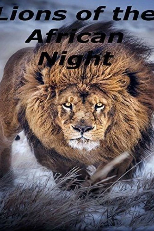 Lions of the African Night Juliste