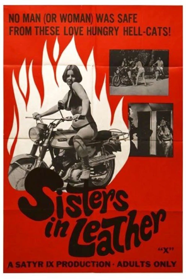 Sisters in Leather Juliste