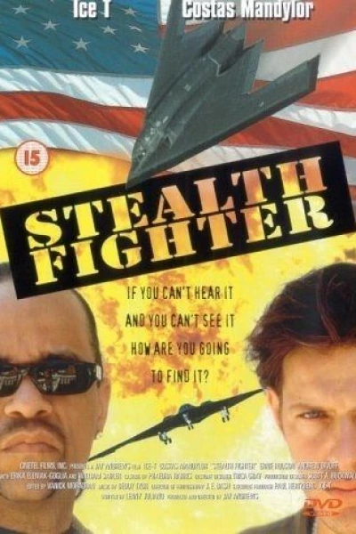 Stealth Fighter