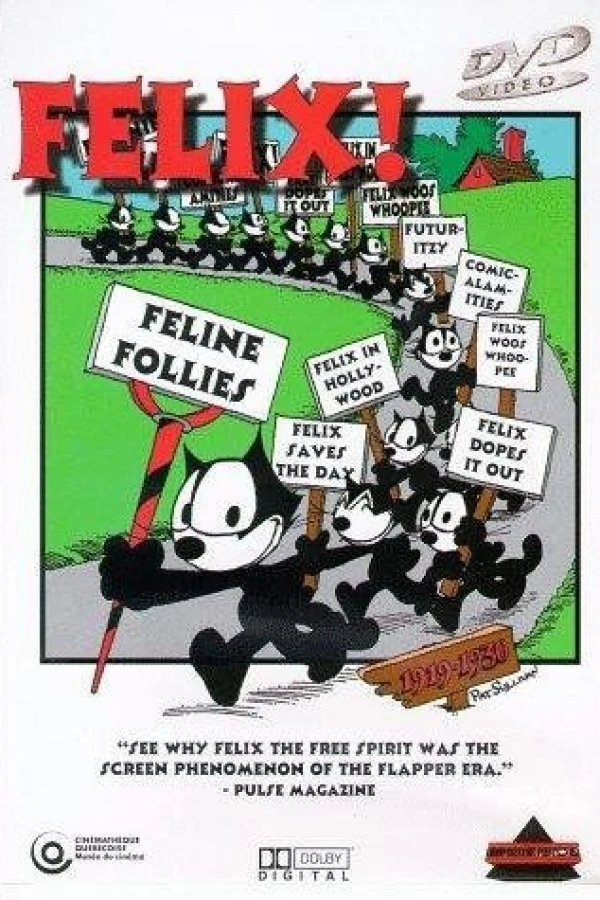 Feline Follies Juliste