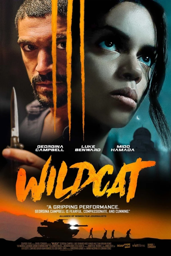 Wildcat Juliste