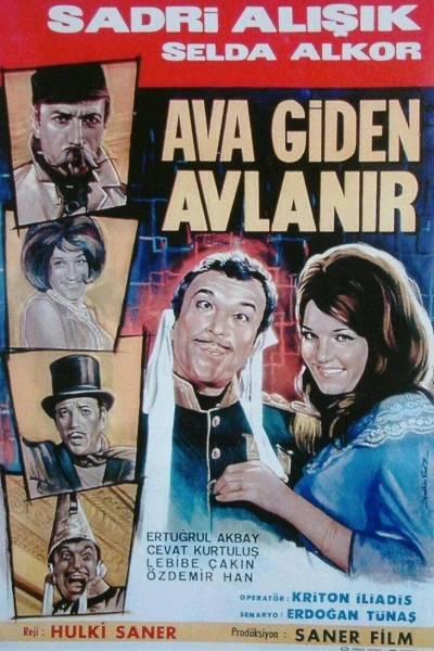 Ava giden avlanir