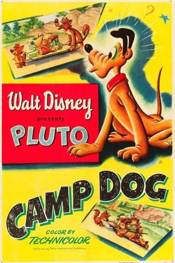 Camp Dog Juliste