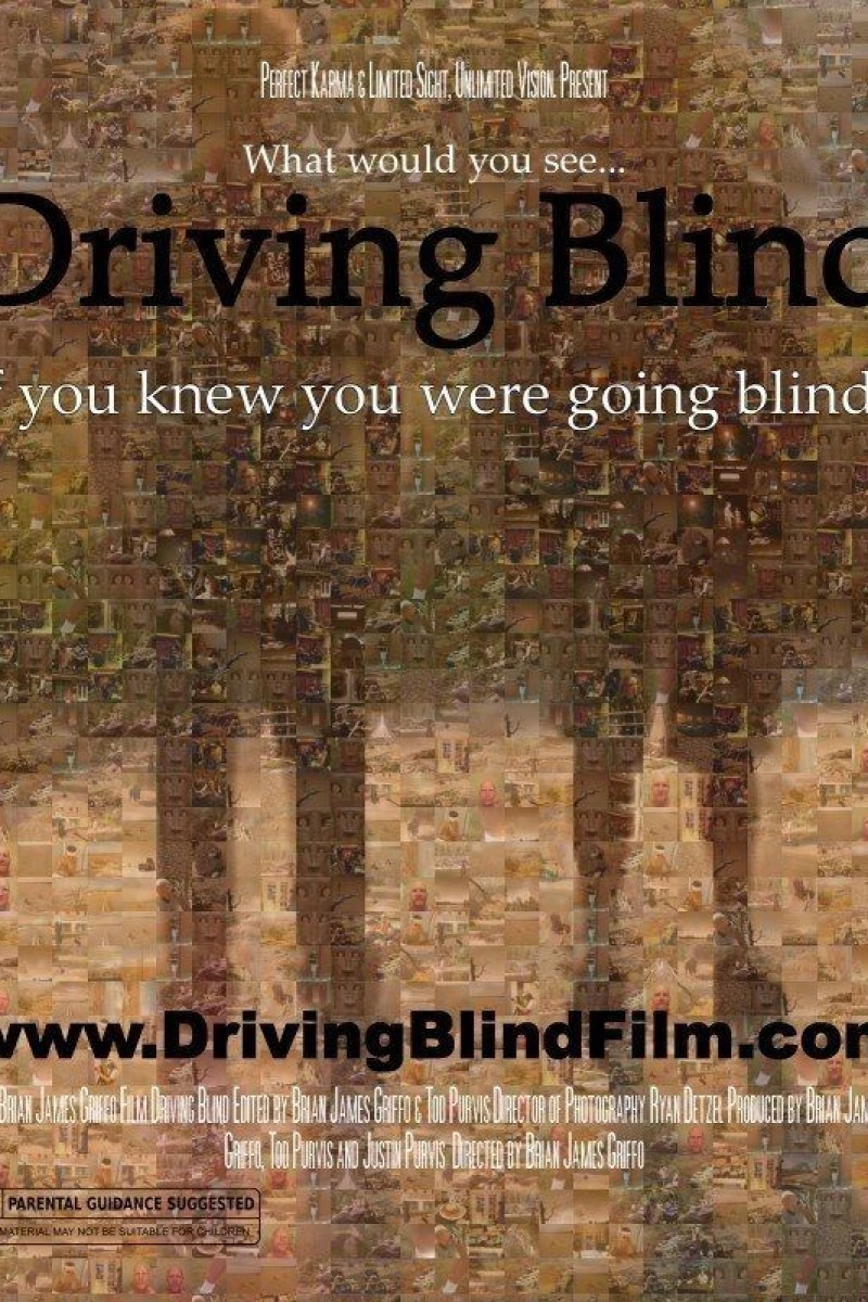 Driving Blind Juliste