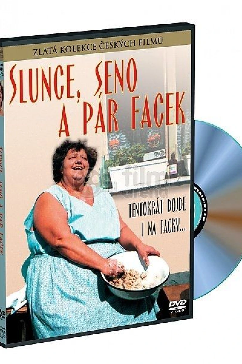 Slunce, seno a pár facek Juliste