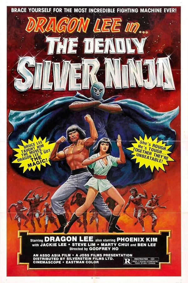 The Deadly Silver Ninja Juliste